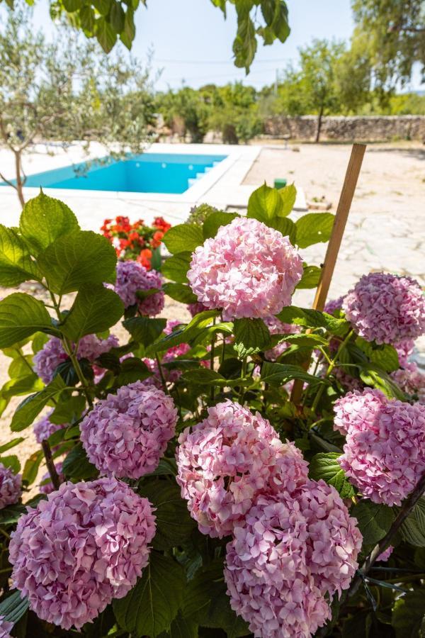 ピロヴァッツ Marcelovi Dvori Bed & Breakfast エクステリア 写真